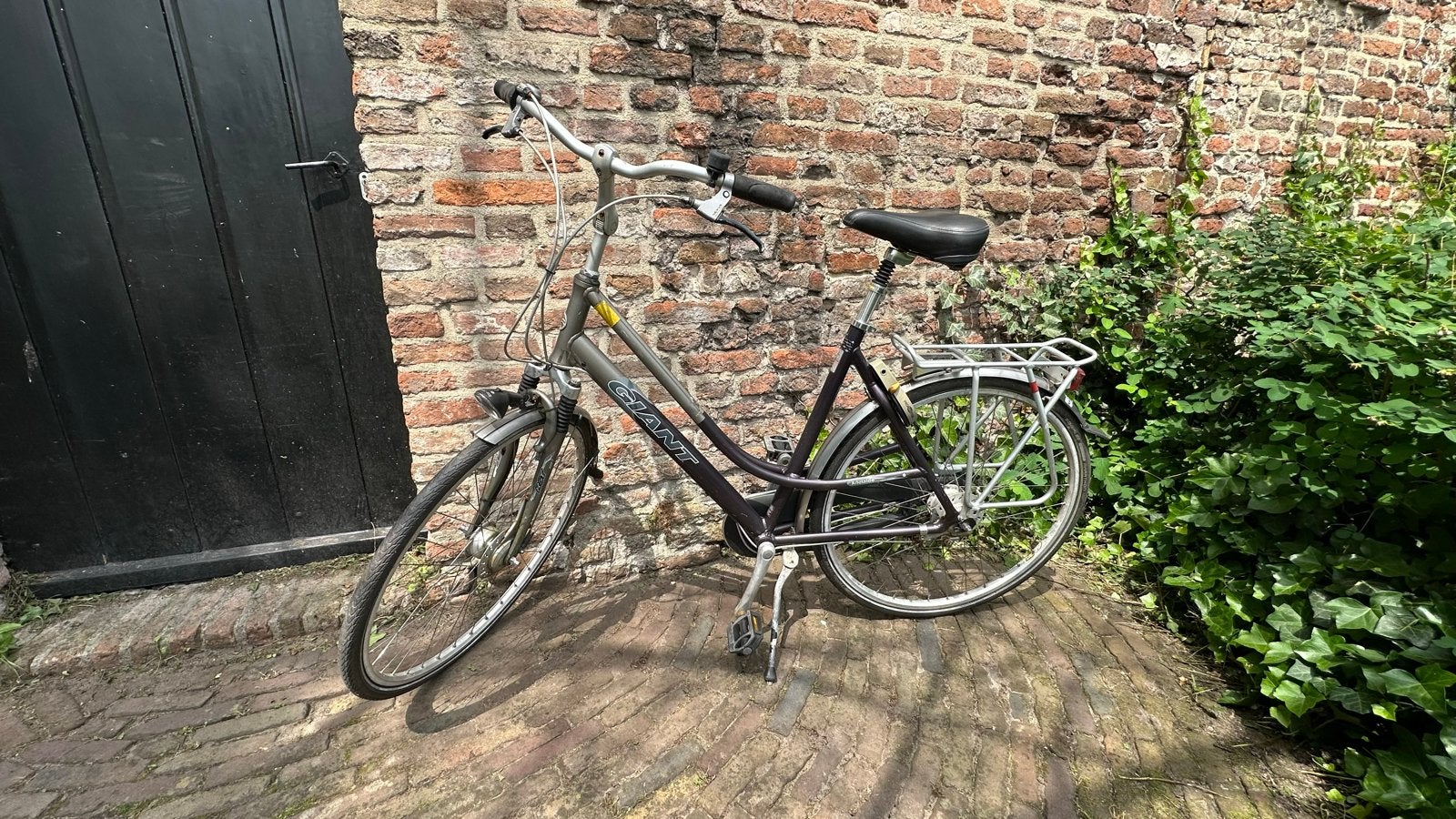 Giant damesfiets met versnellingen, Ophalen, Velgrem, Versnellingen, Giant