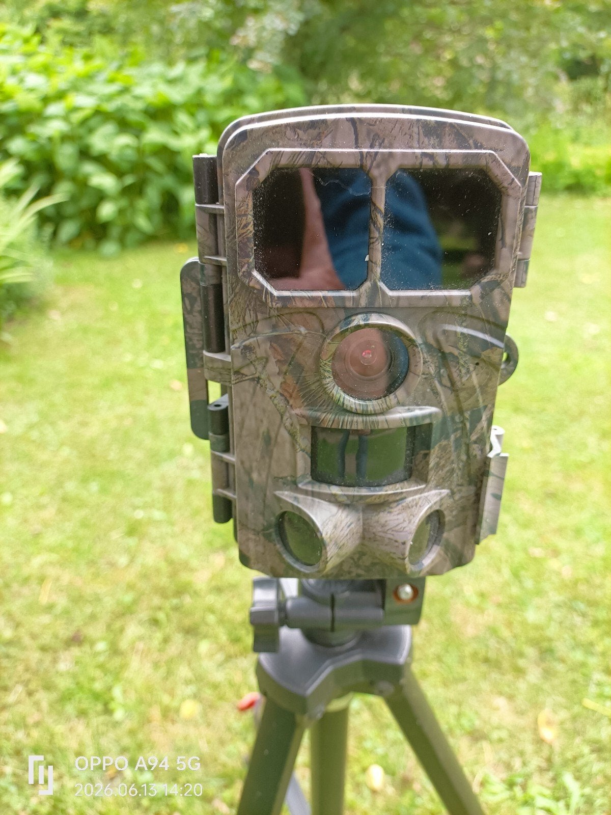 Wildcamera, Ophalen, Zo goed als nieuw, Overige Merken, 8 keer of meer