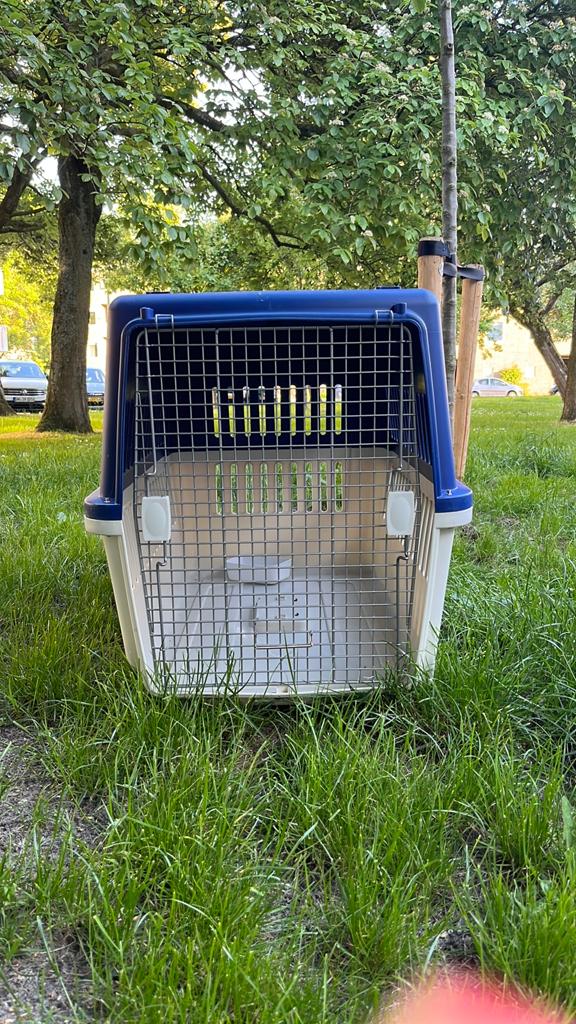 Bench voor middelgrote hond, Ophalen, Zo goed als nieuw