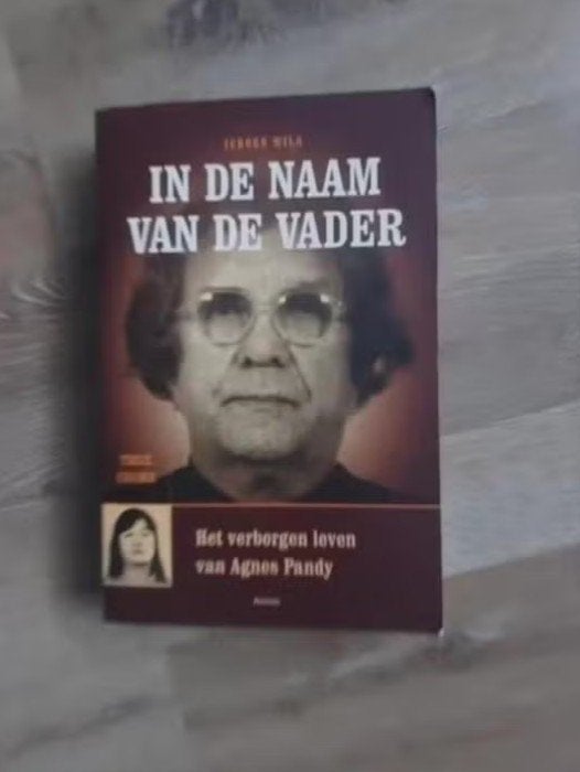 In de naam van de vader (True Crime) door J. Wils, Overige, Ophalen of Verzenden, Zo goed als nieuw, Jeroen Wils