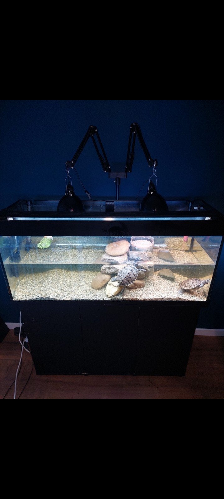 schildpad aquarium, Dieren en Toebehoren, Ophalen, Gebruikt, Overige typen