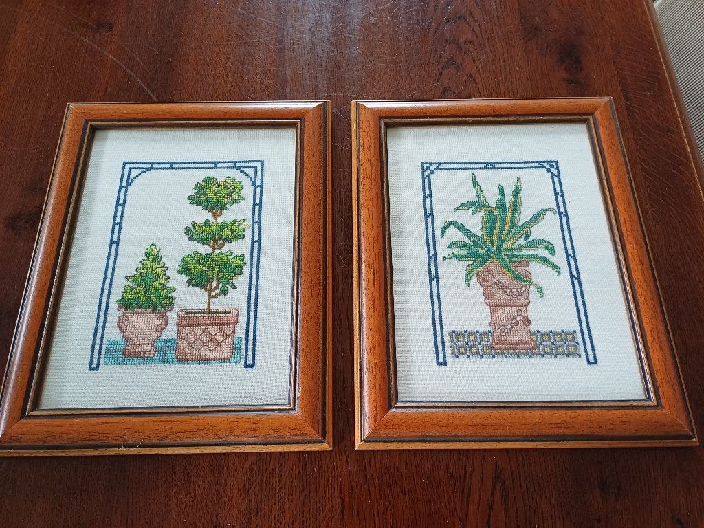 2 Borduurwerken. ,,Buxus en Sanseveria,, ingelijst met glas, Ophalen of Verzenden, Gebruikt, Achter glas, Overige typen