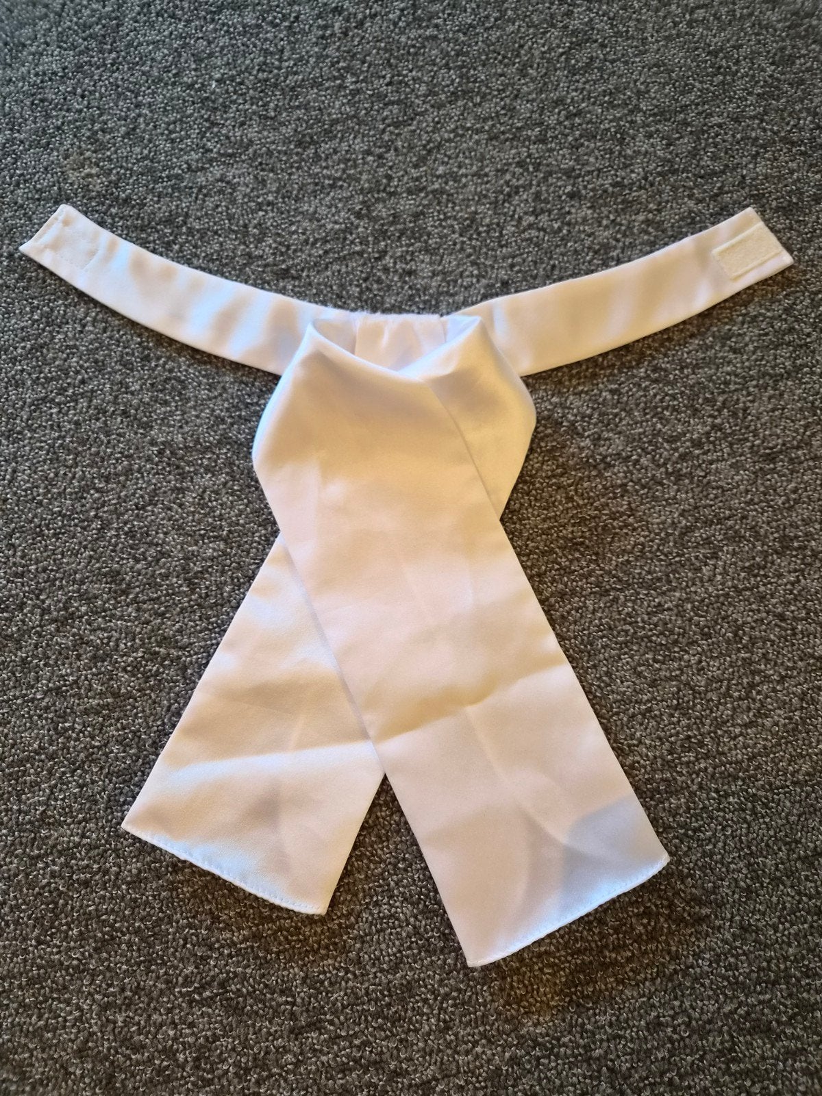 plastron, Dieren en Toebehoren, Paardrijkleding, Gebruikt, Dressuur, Overige typen, Ophalen of Verzenden
