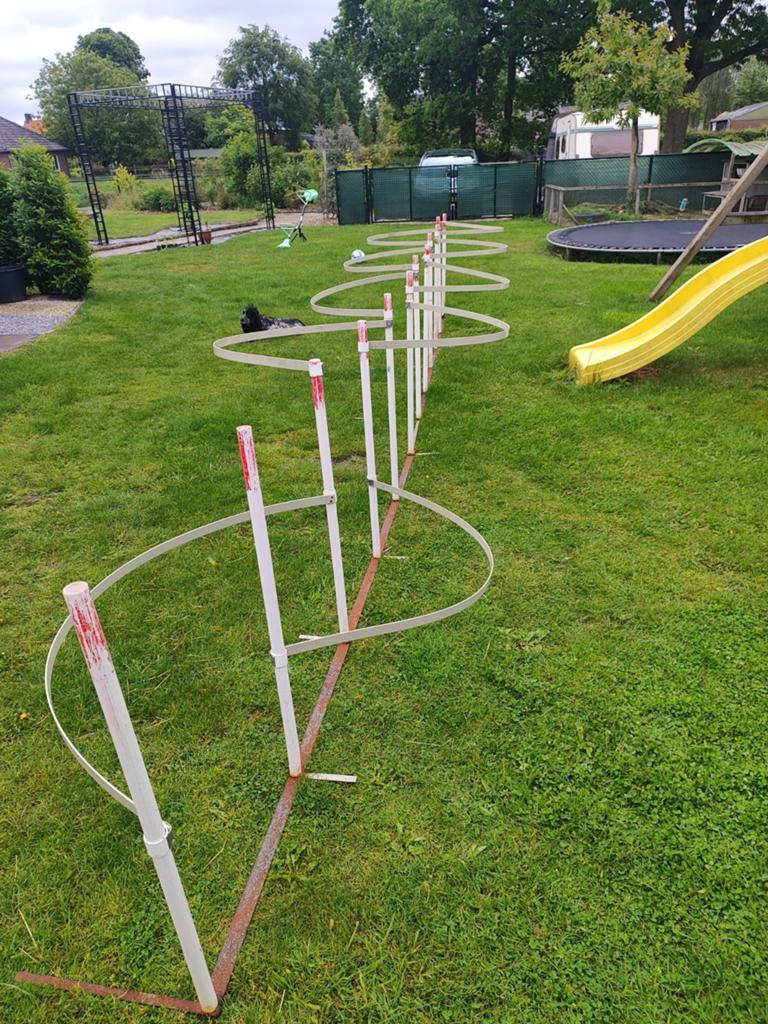Agility slalom, met geleiding. Hoogtesprong 6 stuks, Ophalen