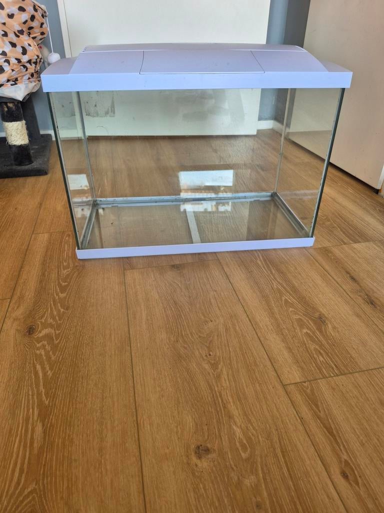 Superfish aquarium start 70 bak met verlichting, Dieren en Toebehoren, Vissen | Aquaria en Toebehoren, Ophalen, Zo goed als nieuw