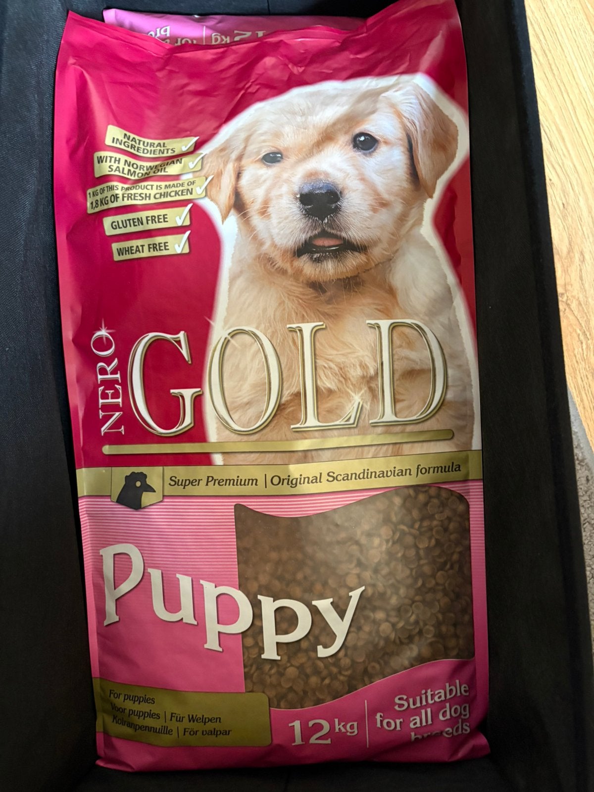 Puppy brokjes nero gold, Ophalen, Hond