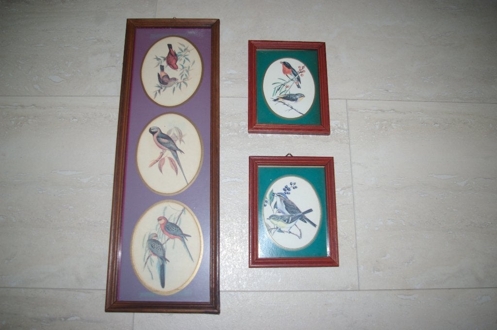 Schilderijtjes met vogel afbeeldingen 3 stuks., Huis en Inrichting, Ophalen of Verzenden, Gebruikt