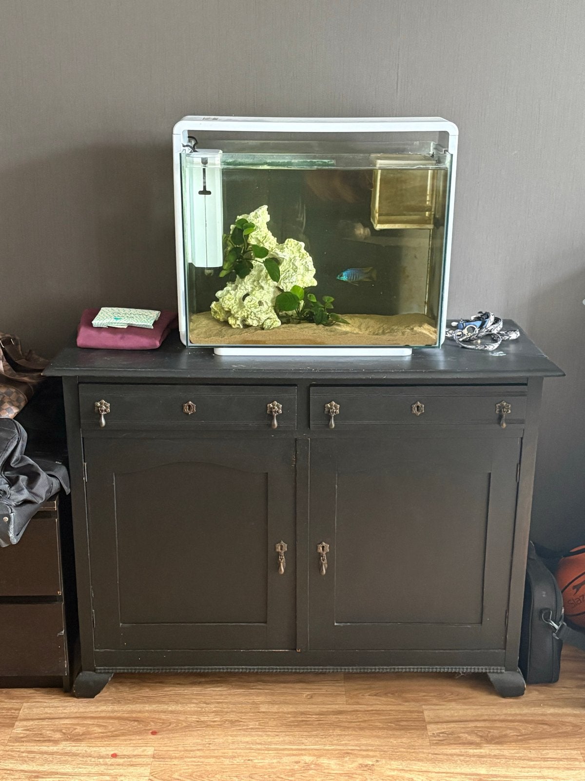 Kastje, gratis af te halen!, Ophalen, Gebruikt, 50 tot 100 cm, Minder dan 100 cm