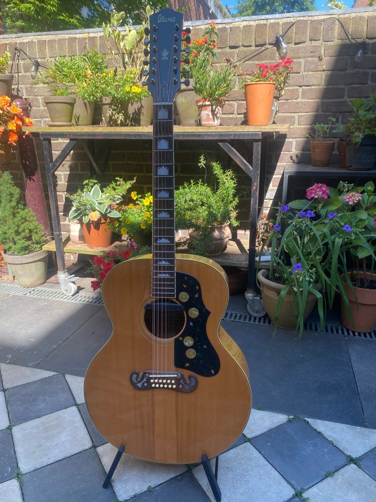 Mooie Ibanez concord 12-snarige gitaar, Ophalen of Verzenden, Gebruikt, Western- of Steelstringgitaar, 12-snarig