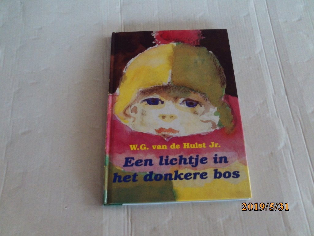 een lichtje in het donkere bos - w.g. van de hulst jr., Ophalen of Verzenden, Gelezen, Fictie algemeen