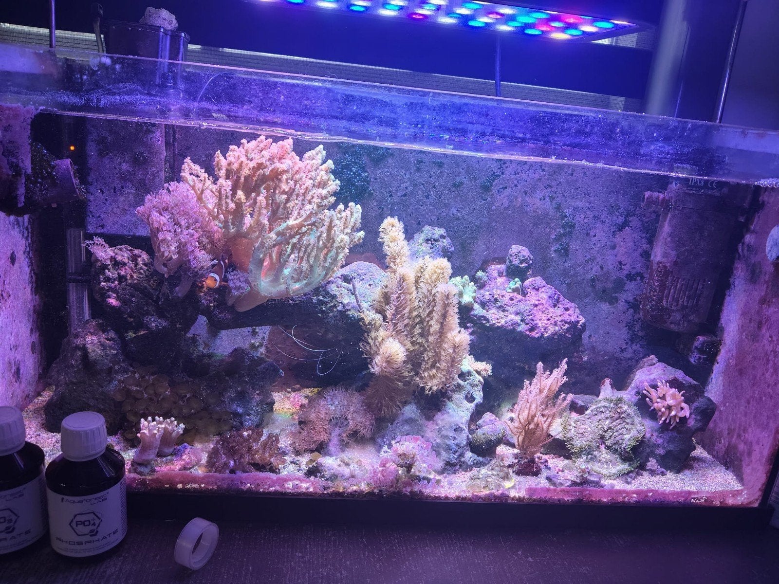 Gratis (zee) Aquarium, Dieren en Toebehoren, Ophalen, Leeg aquarium