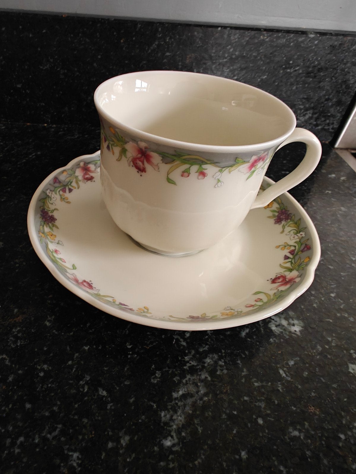 seltmann Bavaria Marie Louise servies kop schotel gebaksstel, Ophalen of Verzenden, Porselein, Overige stijlen, Kop(pen) en/of Schotel(s)