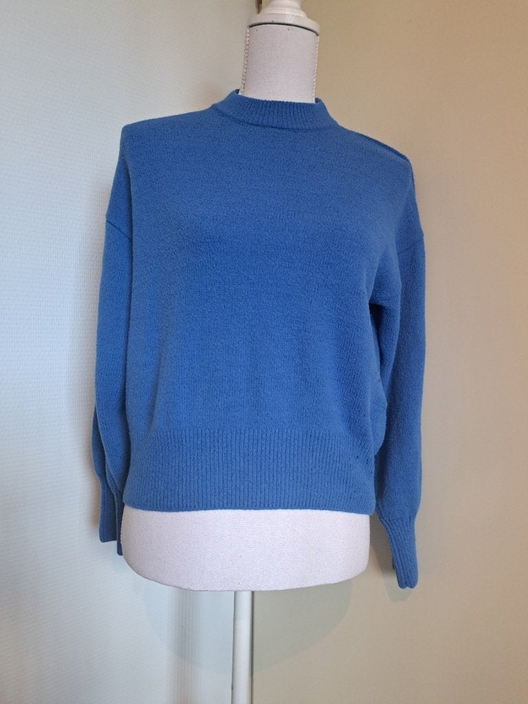 Blauw trui Amy & Ivy, Blauw, Nieuw, Ophalen of Verzenden, Amy & Ivy