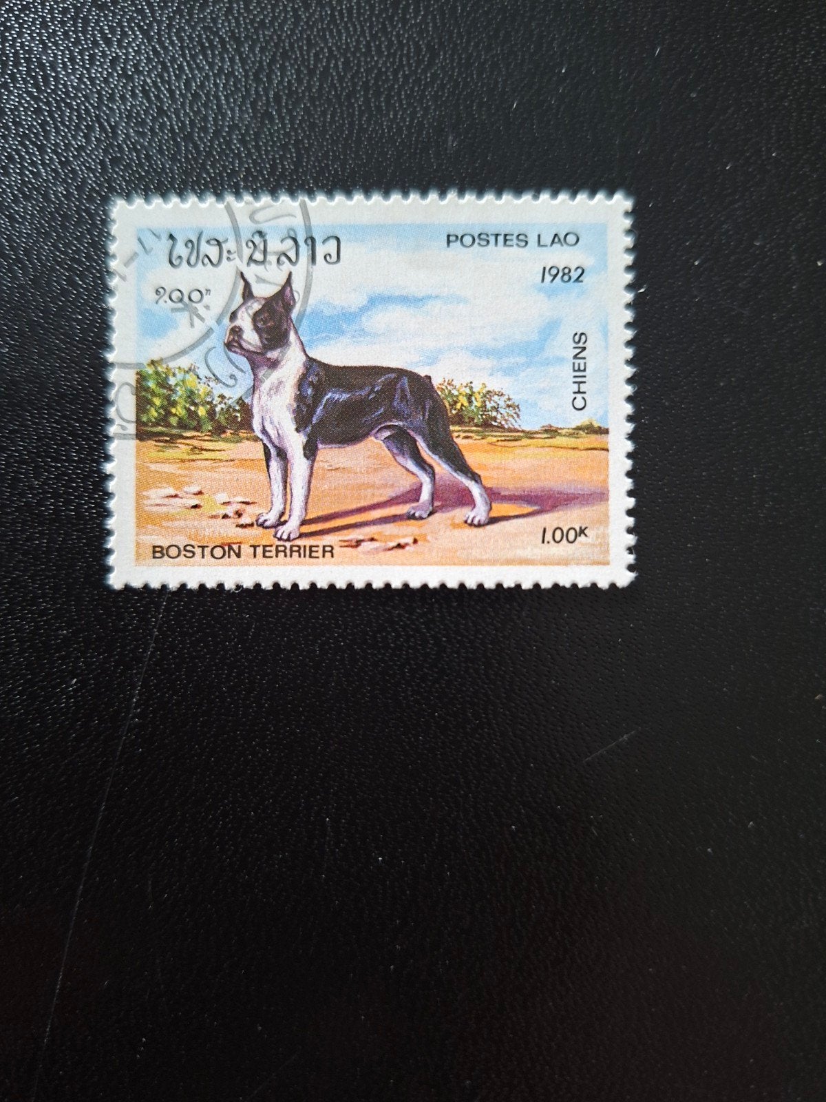 Laos, hond., Ophalen of Verzenden, Dier of Natuur