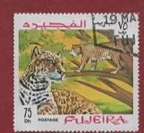 Katachtigen - Fujeira - 75 Dh - Luipaard (of Panter) - gebr, Ophalen of Verzenden, Gestempeld, Dier of Natuur