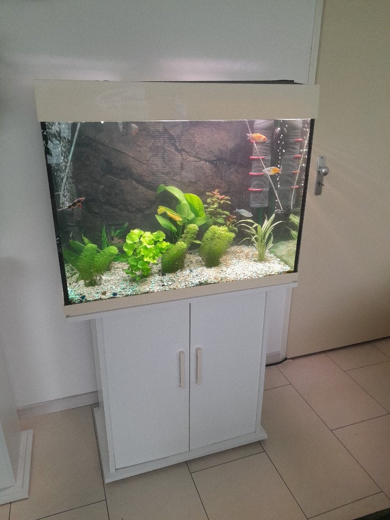 aquarium, Dieren en Toebehoren, Ophalen, Gebruikt, Overige merken, Gevuld zoetwateraquarium