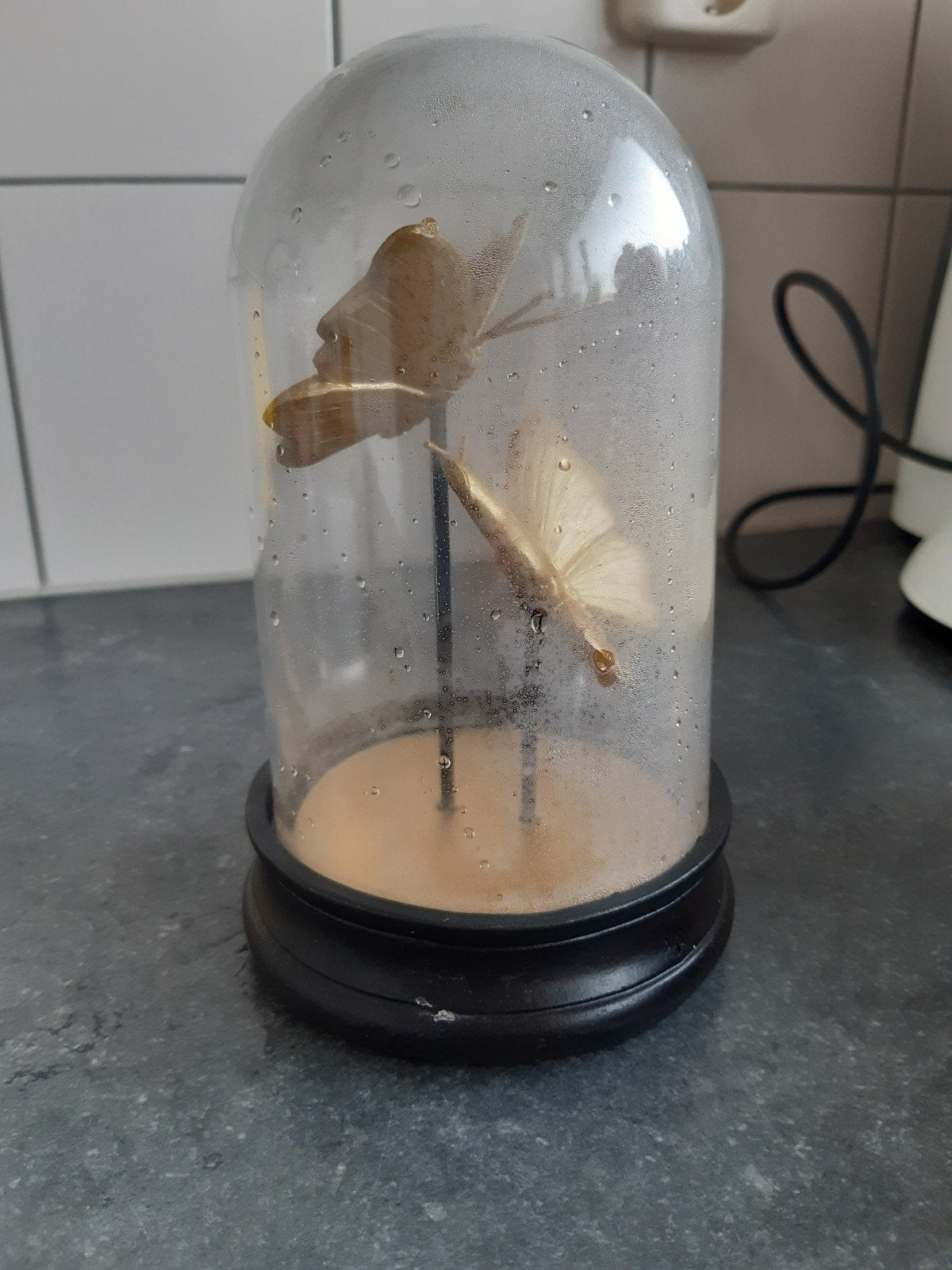 Goude Vlinders in plastic glas, Overige materialen, Ophalen, Zo goed als nieuw