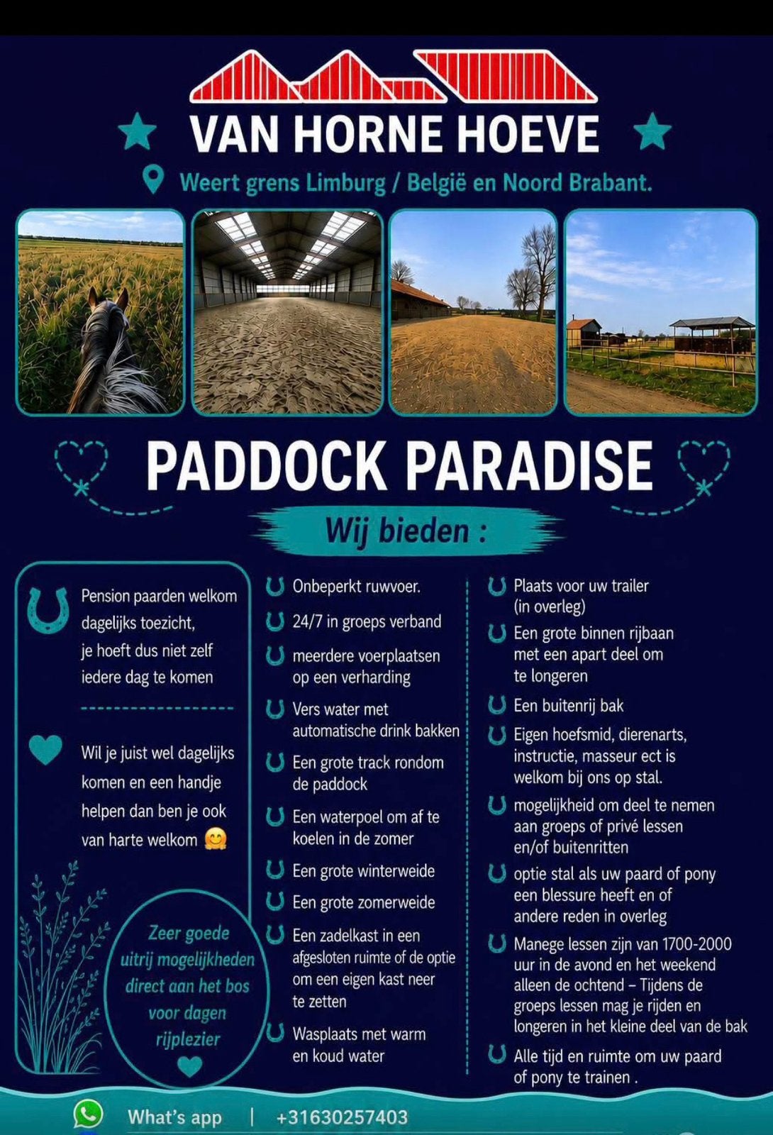 Paddock paradise pension stal pensioen weide stal paard, Dieren en Toebehoren