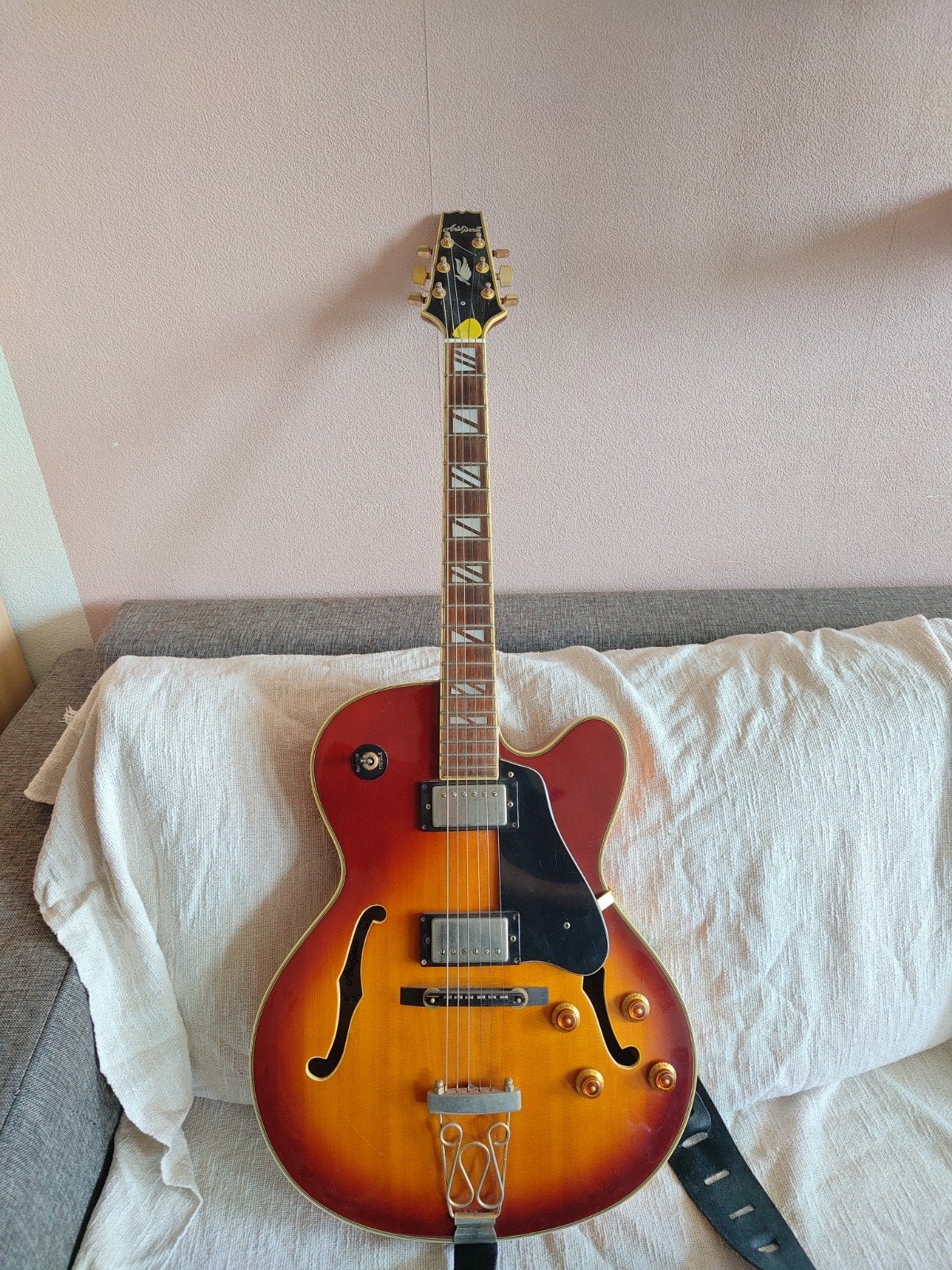 Aria pro II FA-70, Ophalen, Gebruikt, Hollow body, Overige merken