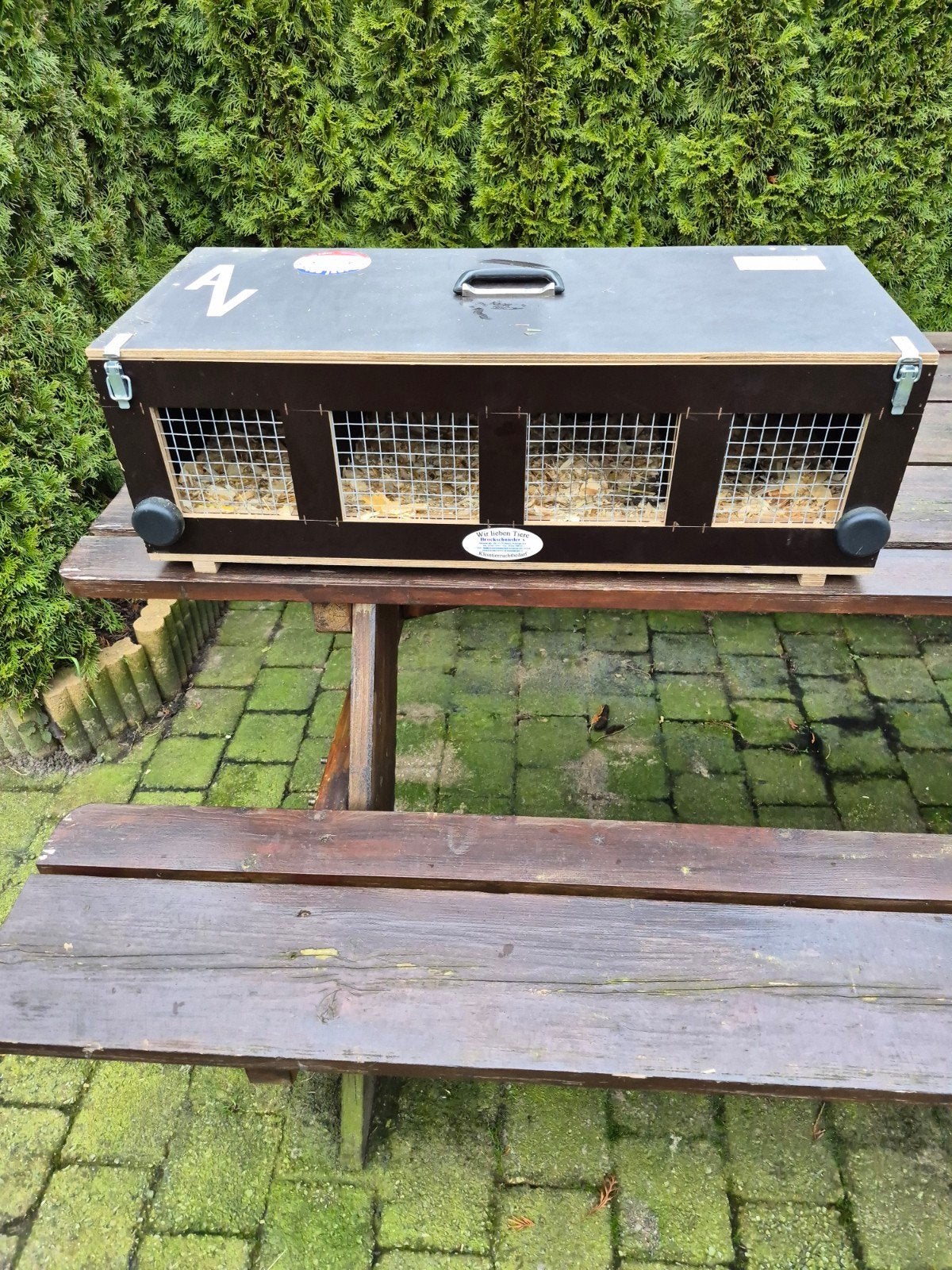 Vervoerskist 4 vaks, Dieren en Toebehoren, Mannelijk, Groot