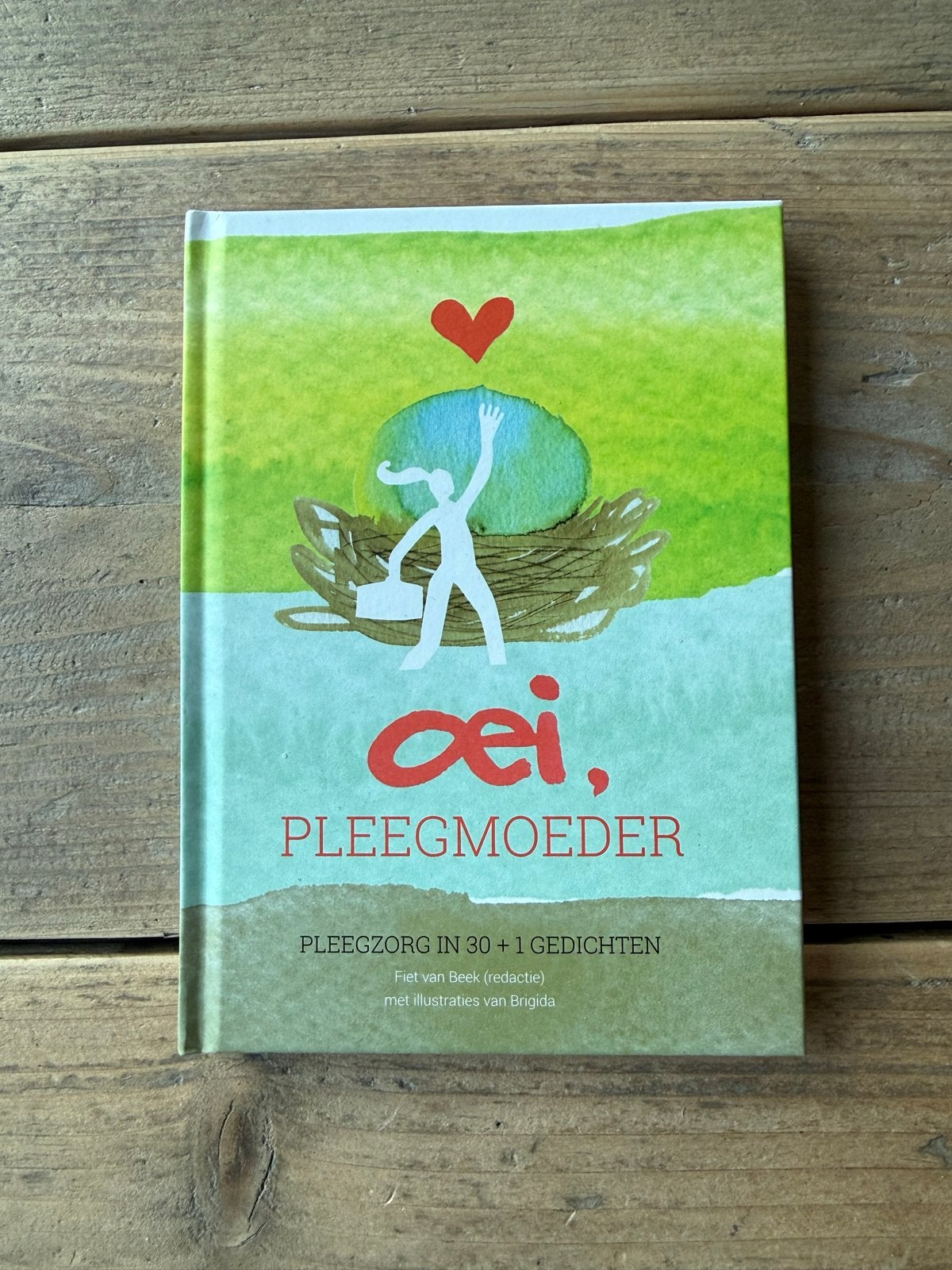 Oei, Pleegmoeder - Pleegzorg in 30+1 gedichten, Ophalen of Verzenden, Zo goed als nieuw, Meerdere auteurs