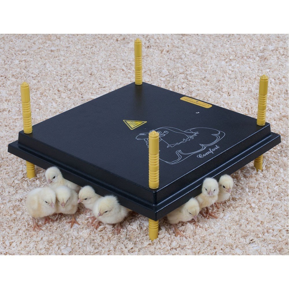 Comfort Warmteplaat (40x40 cm) voor 30-35 Kuikens, Info@olba.com, De Mars 13, Coevorden 7742PT, Overige typen, Nieuw