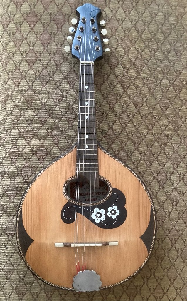 Silvestri mandoline, Muziek en Instrumenten, Snaarinstrumenten | Mandolines, Ophalen, Gebruikt