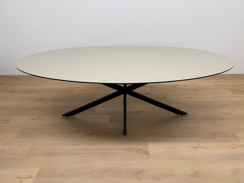 Ovale eettafel HPL Beige 220x100 - Direct Leverbaar, 100 tot 150 cm, 200 cm of meer, Ophalen of Verzenden, Zo goed als nieuw