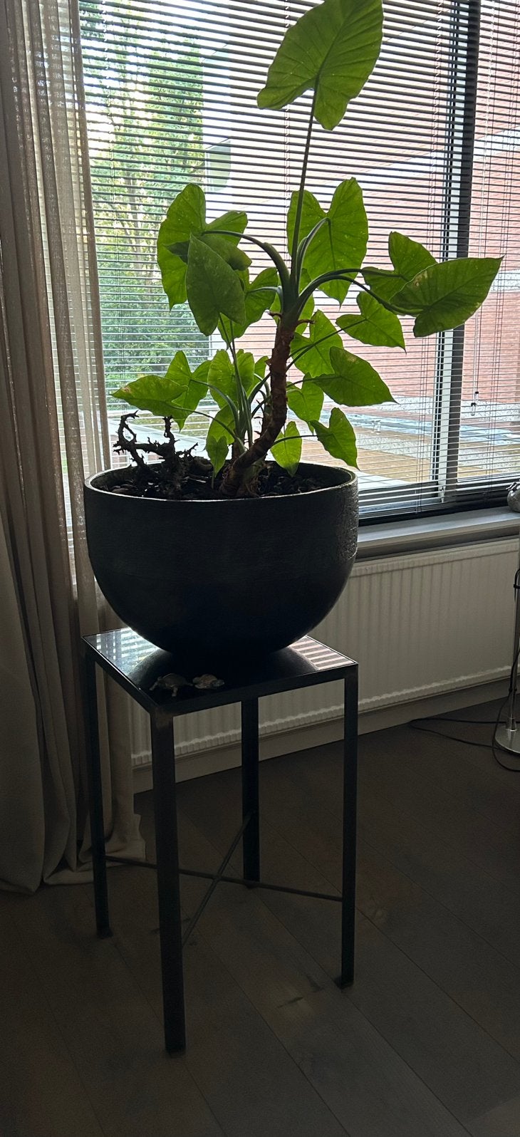 Metalen standaard met plantenpot, Ophalen, Zo goed als nieuw, Rond, Metaal