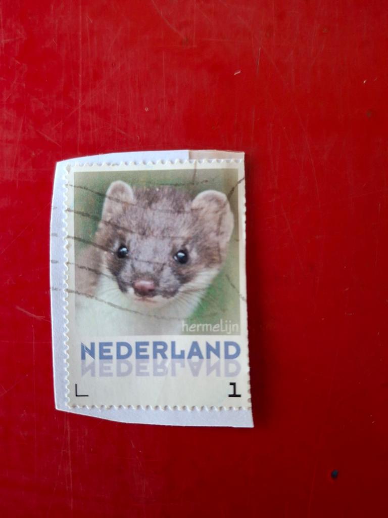 Nederlandse postzegel 'Hermelijn', Ophalen of Verzenden, Na 1940, Gestempeld
