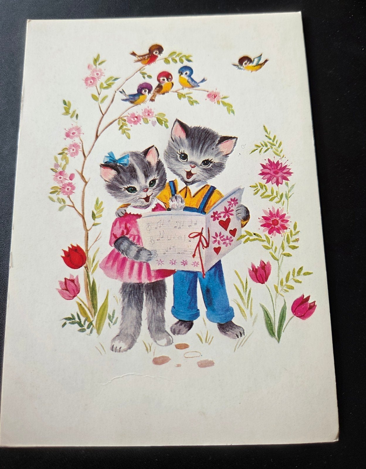 Zingende Katjes met Vogels, Verzenden, 1960 tot 1980, Gelopen, Kinderen