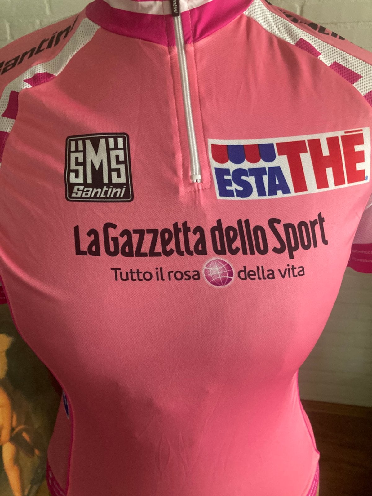 Giro pink jersey, Overige typen, Ophalen of Verzenden, Zo goed als nieuw, Roze