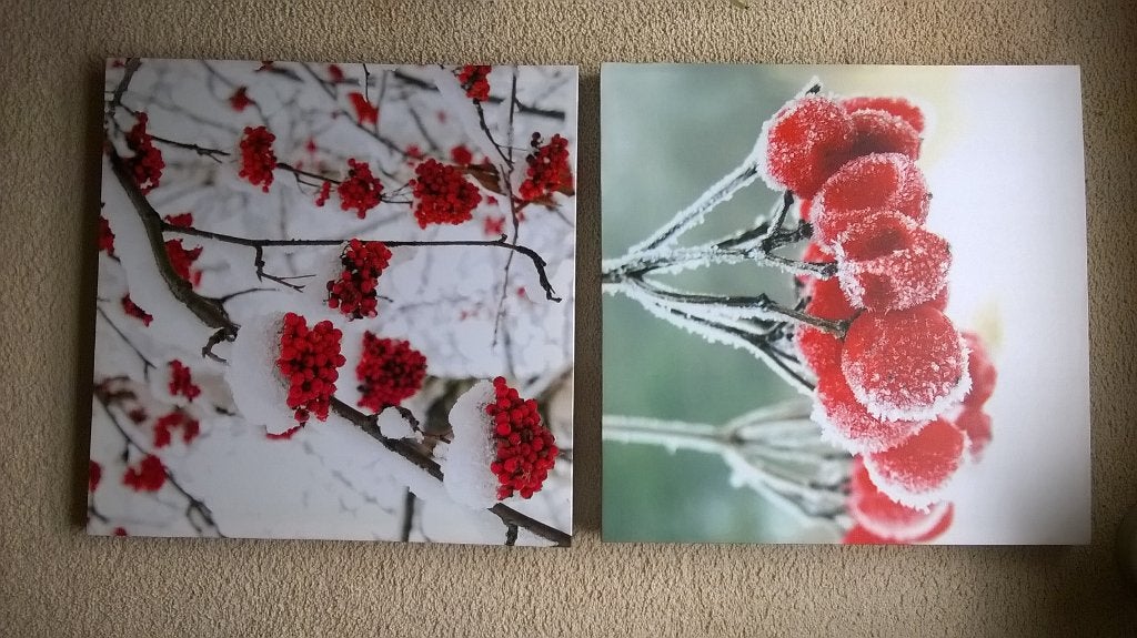 Winterse afbeeldingen op canvas, Ophalen, Minder dan 50 cm, Minder dan 50 cm, Print