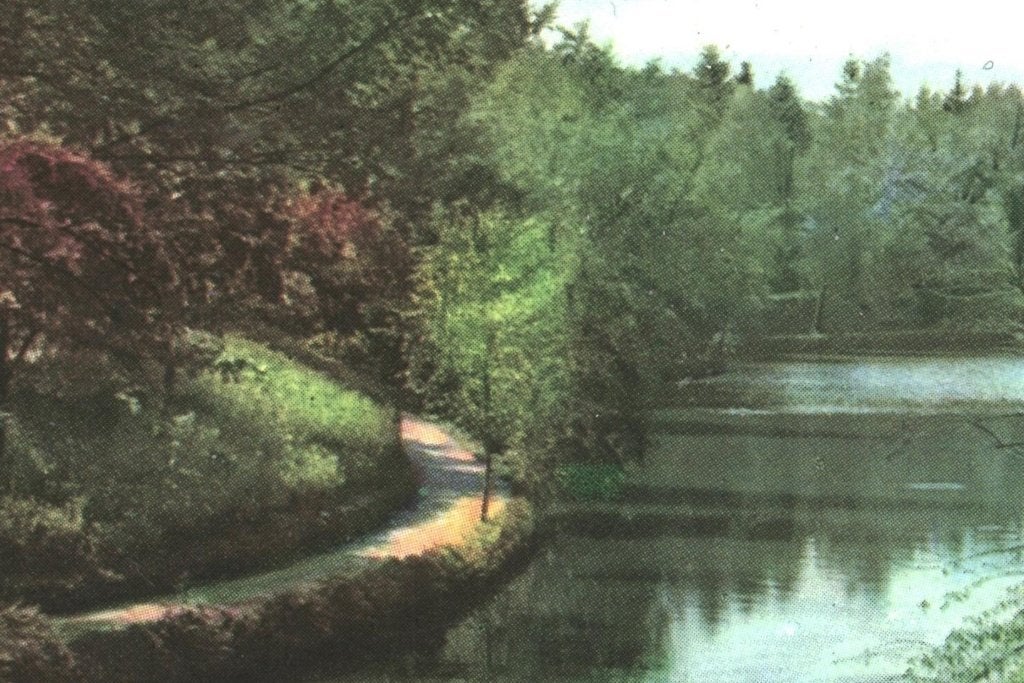 967676	Apeldoorn	Berg en Bos	Gld	1958	Niet gelopen, Ophalen of Verzenden, 1940 tot 1960, Ongelopen, Gelderland