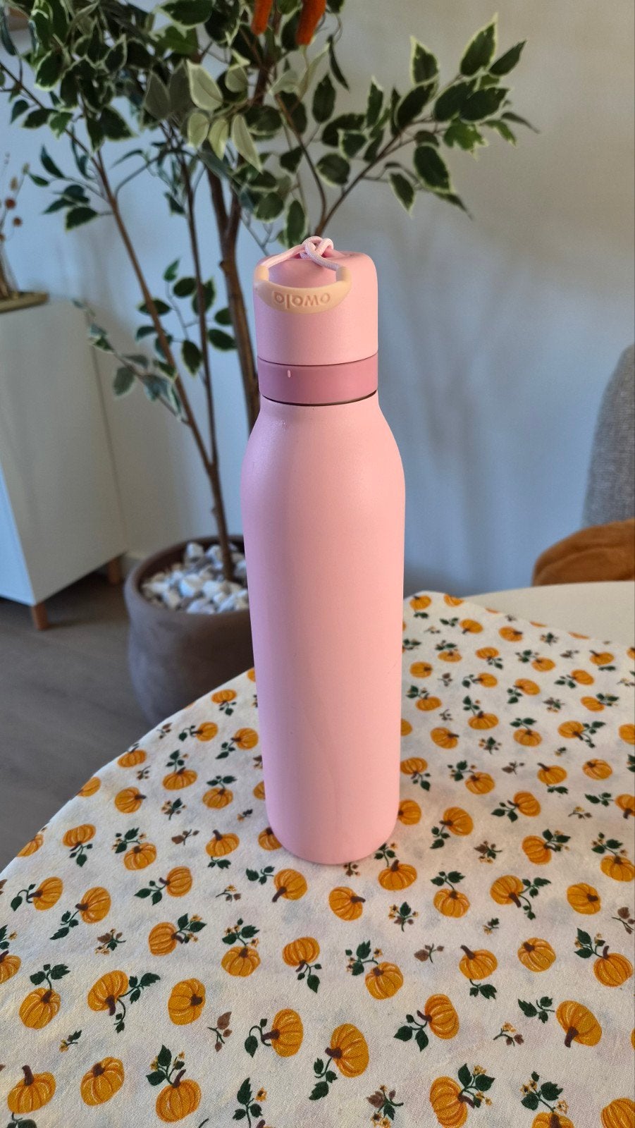 Owala FreeSip drinkfles roze – RVS thermosfles met rietje, Ophalen of Verzenden, Zo goed als nieuw