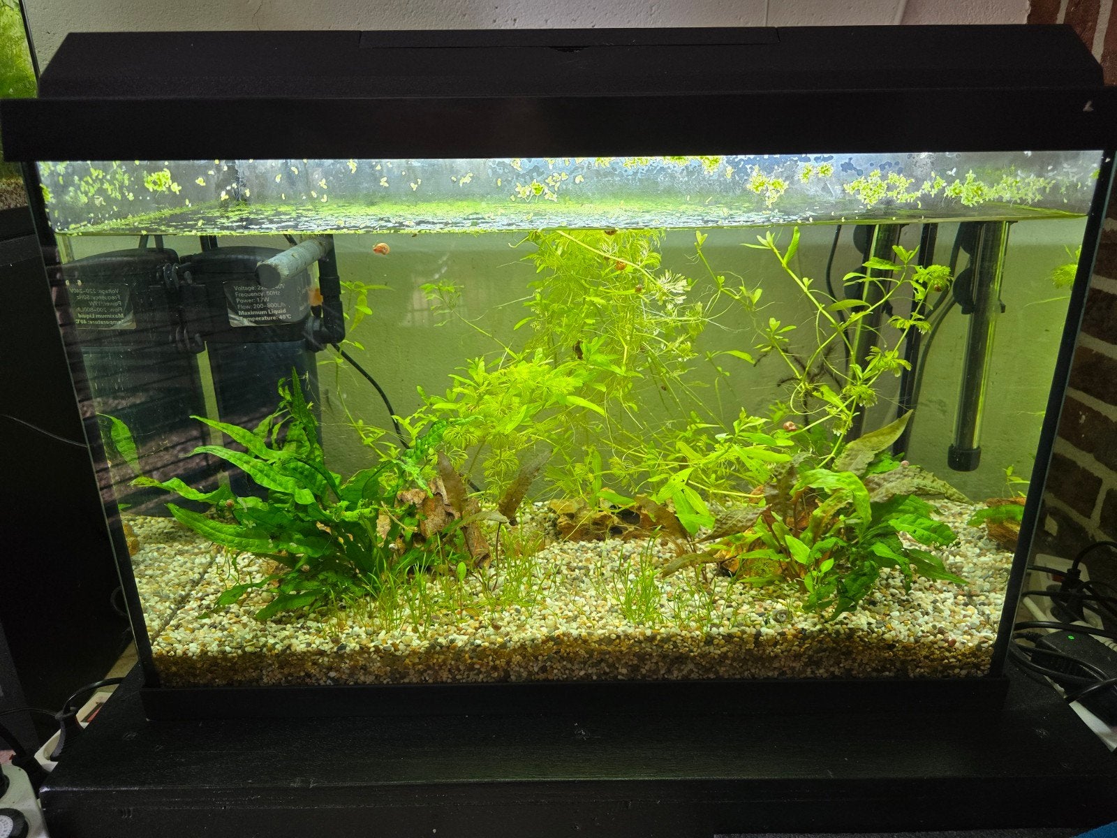 Te koop zgan Juwel 70 Liter, Dieren en Toebehoren, Ophalen, Zo goed als nieuw, Leeg aquarium, Juwel