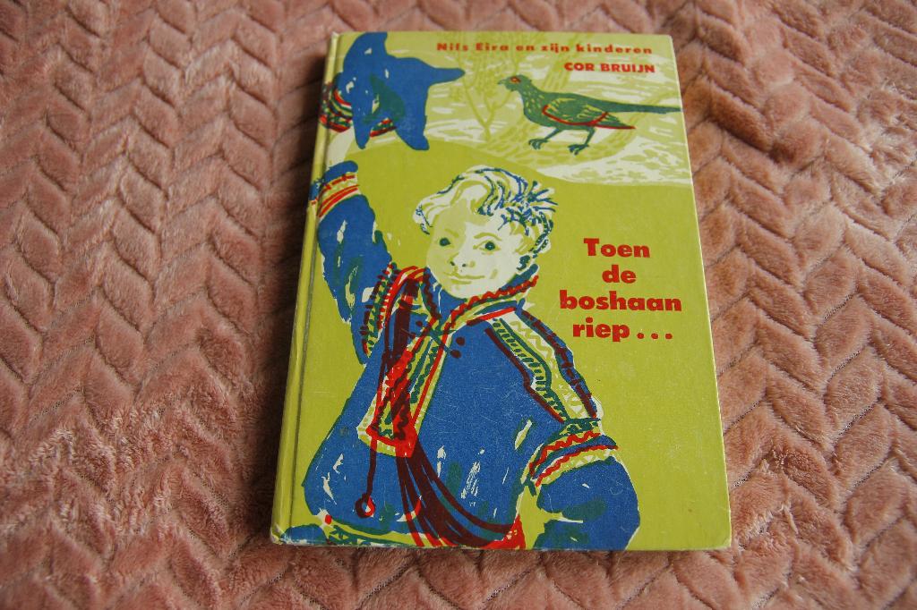 Toen de boshaan riep. Cor de Bruijn, Ophalen of Verzenden, Gelezen, Fictie algemeen