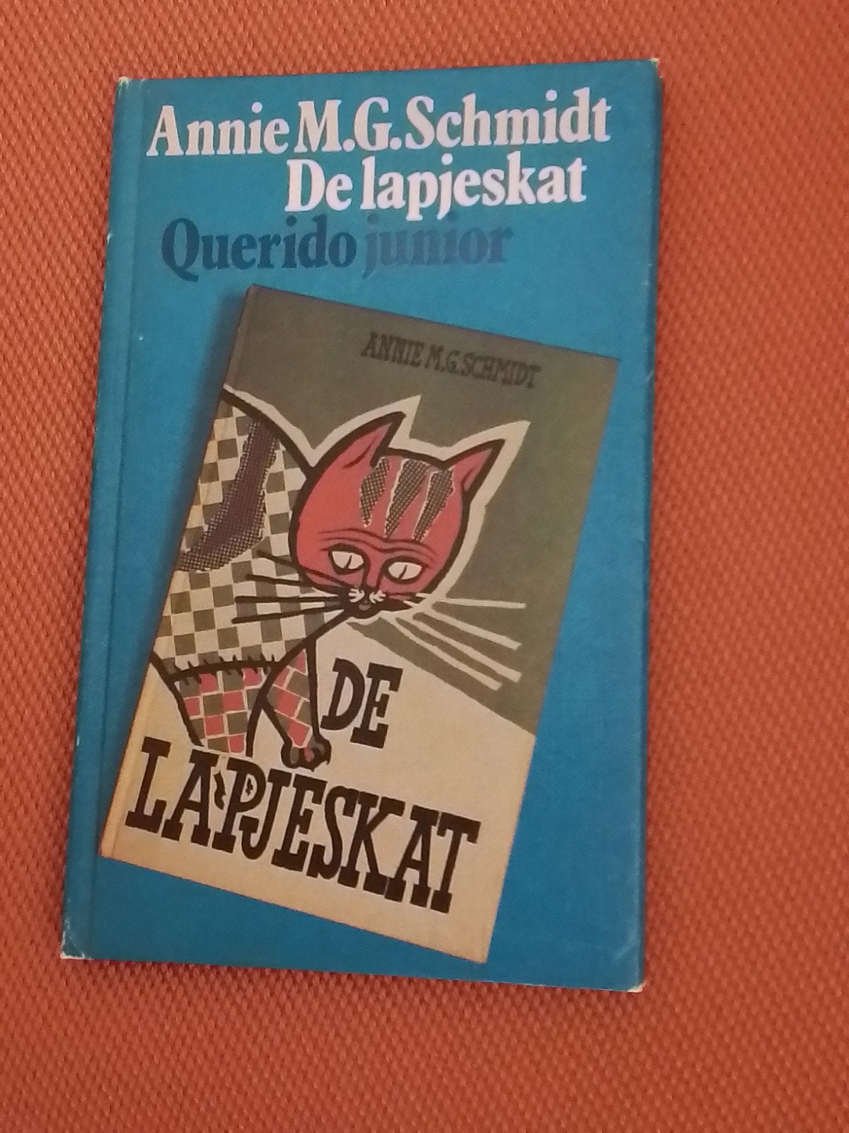 De Lapjeskat - Annie M.G. Schmidt (voorleesboek), Gelezen, Annie M.G. Schmidt, 5 of 6 jaar, Fictie algemeen