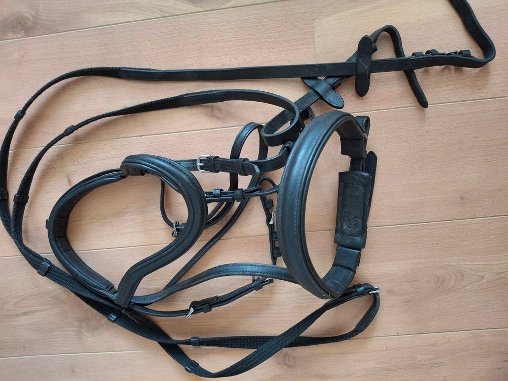 Kunststof hoofdstel maat full te koop, Dieren en Toebehoren, Paarden en Pony's | Hoofdstellen en Tuigage, Ophalen of Verzenden