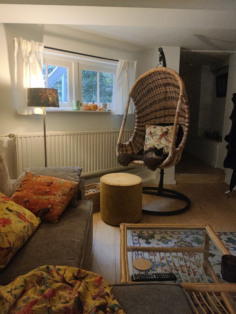 Rotan hangstoel, rieten hangstoel, Ophalen, Gebruikt, Bruin, Metaal