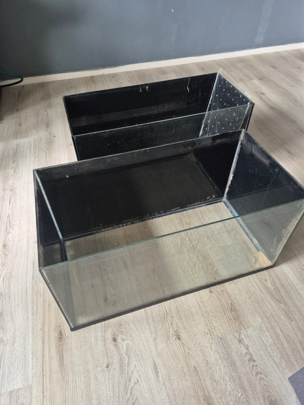 2 stuks kweek aquariums 80cm, Ophalen, Leeg aquarium