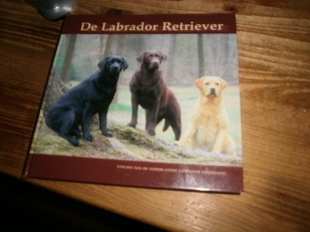 de labrador retriever mooi boek veel info over het ras fotos, Ophalen of Verzenden, Nieuw, Honden