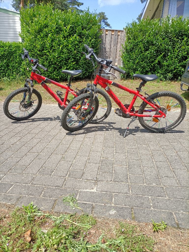 Mountainbike, Fietsen en Brommers, Fietsen | Mountainbikes en ATB, Gebruikt, Overige merken, Minder dan 45 cm, Schijfrem, Ophalen