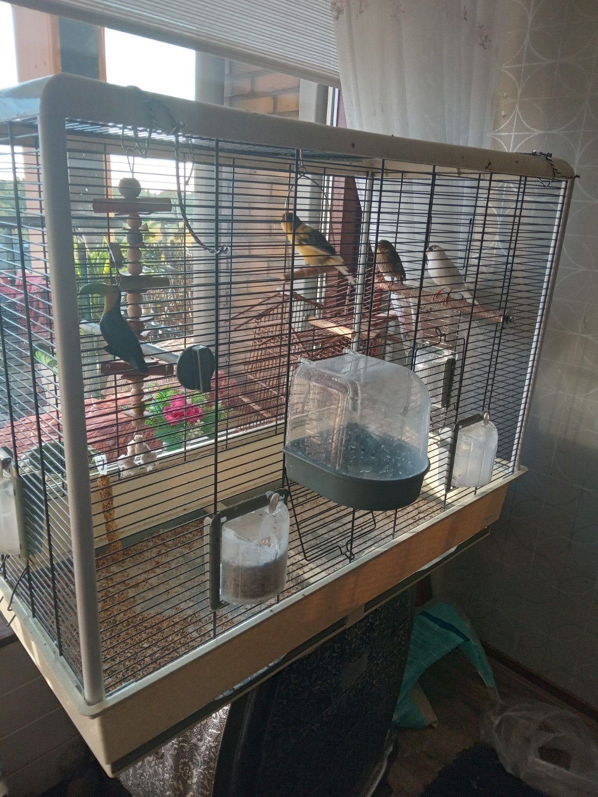 vogelkooi, Ophalen, Metaal, Vogelkooi