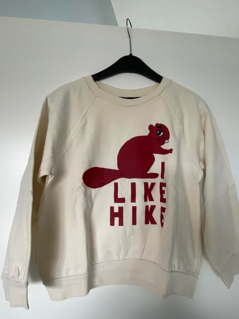 Mini Rodini trui 'I Like Hike' maat 128/134, Ophalen of Verzenden, Zo goed als nieuw, Jongen of Meisje, Trui of Vest