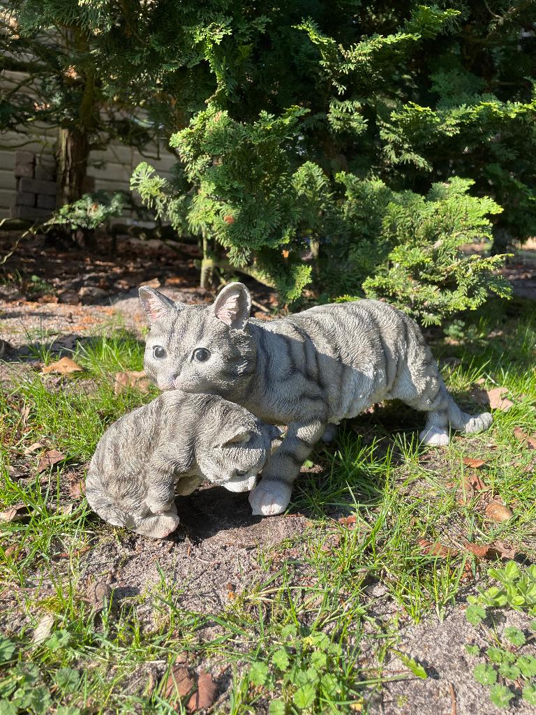 Poes, kat, grijs, tuin, gazon, kitten, boerderij 50cm, Tuin en Terras, Tuinbeelden, Ophalen of Verzenden, Nieuw, Kunststof, Dierenbeeld