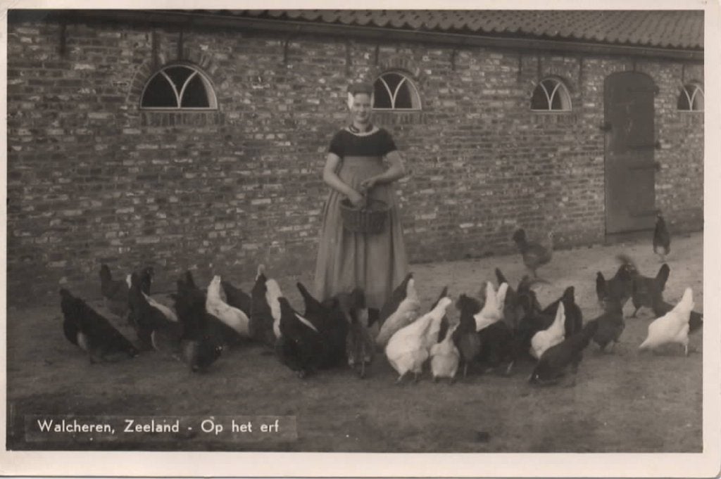 Zeeland Walcheren op het erf kippen klederdracht, Verzenden, 1940 tot 1960, Gelopen, Zeeland
