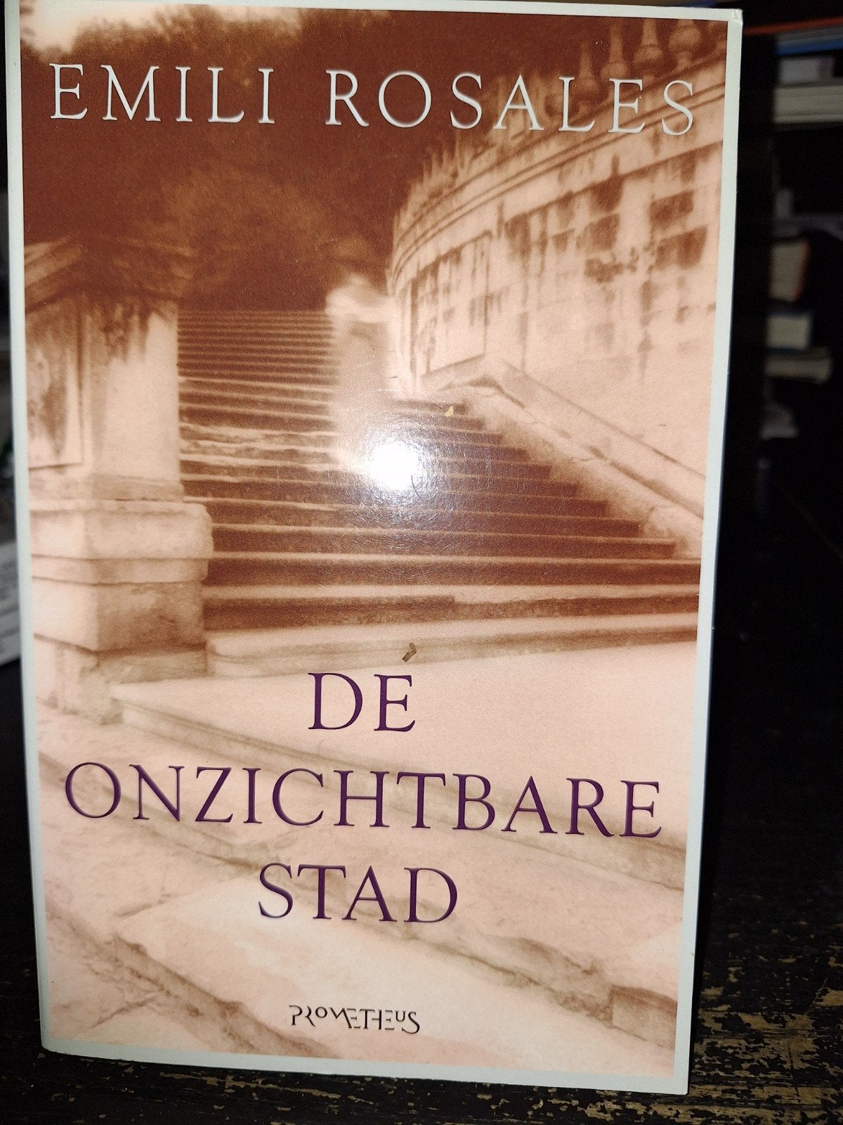 De ontzichtbare stad, Ophalen of Verzenden, Zo goed als nieuw