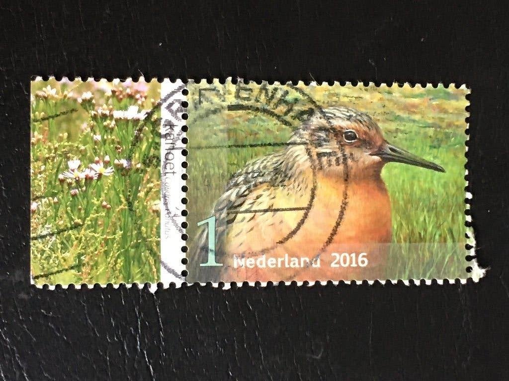 2010 Nederland 2016 NVPH 3409 Griend, Kanoet met tab gestemp, Ophalen of Verzenden, Na 1940, Gestempeld