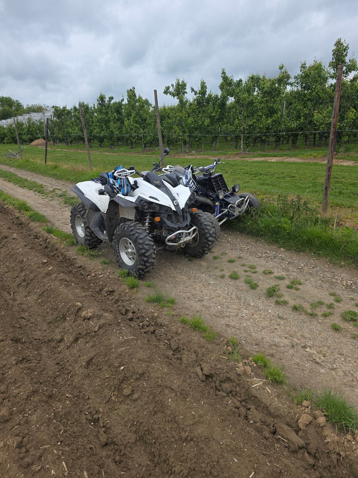 Can-Am Renegade 800 V-Twin - Slechts 11.000 km! 4x4, Motoren